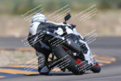 media/Oct-01-2023-SoCal Trackdays (Sun) [[4c570cc352]]/Turn 14 Backside (1120am)/